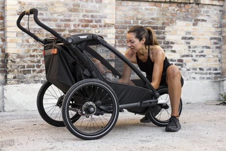 Thule Chariot 2024 +